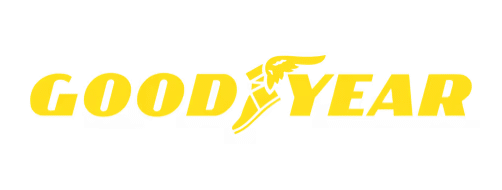 BFGoodrich Tires logo with red and blue text, emphasizing tire brand identity.