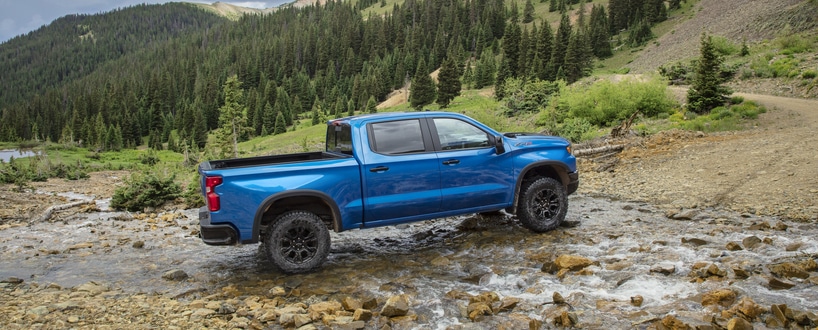 A person in a pink top and blue pants stands behind a green SUV parked on the side of a road. Theyre reaching towards the cars back. A grassy park with trees and people is visible in the background under a clear sky.