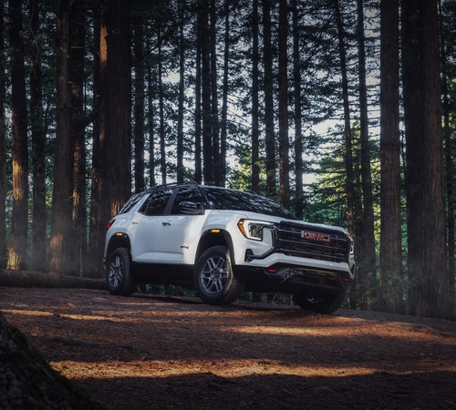 White SUV parked in a forest, surrounded by tall trees, offering a rugged outdoor setting.