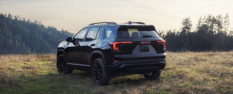 A person in a pink top and blue pants stands behind a green SUV parked on the side of a road. Theyre reaching towards the cars back. A grassy park with trees and people is visible in the background under a clear sky.