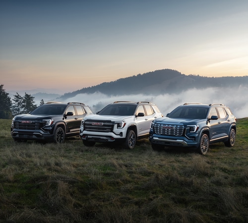 Three SUVs parked on a grassy field with a misty mountain backdrop at sunrise.