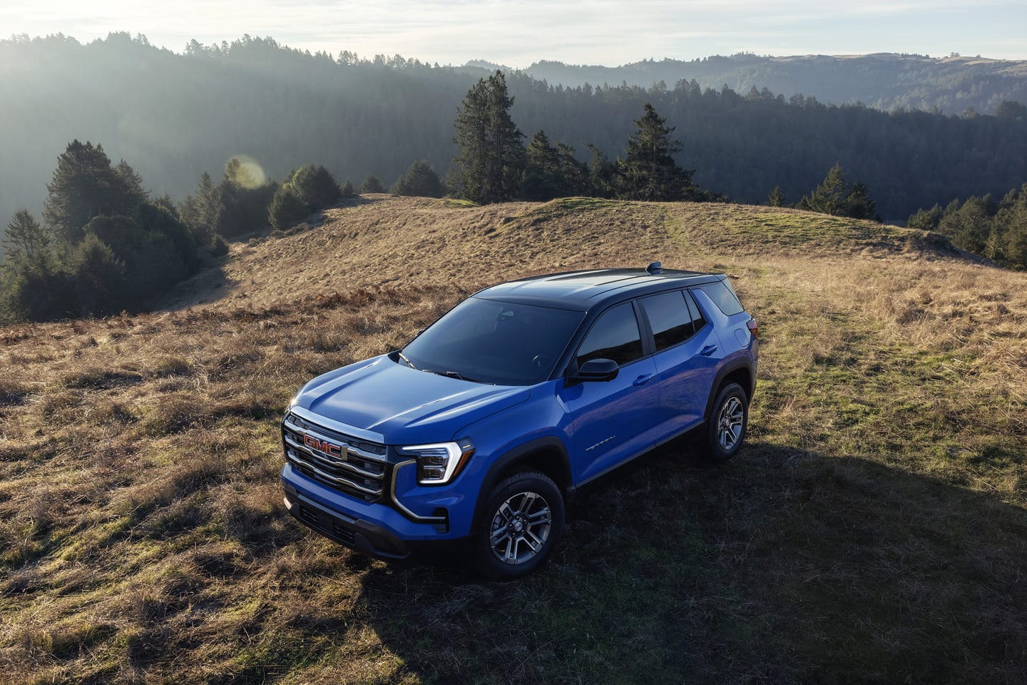 Blue GMC SUV parked on grassy hill with forest scenery under clear sky.